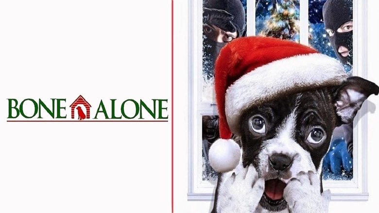 Mamma, ho perso il cane
